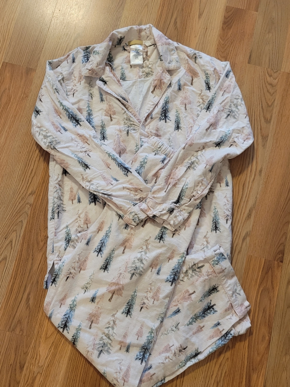 Pottery Barn Teen Winter Wonderland Organic Cotton Flannel Pajama Set XS